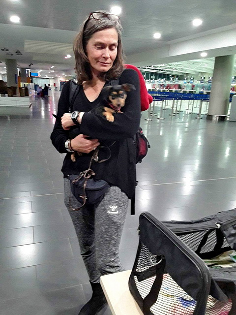 received 2002671459979962