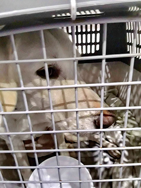 received 2002671639979944