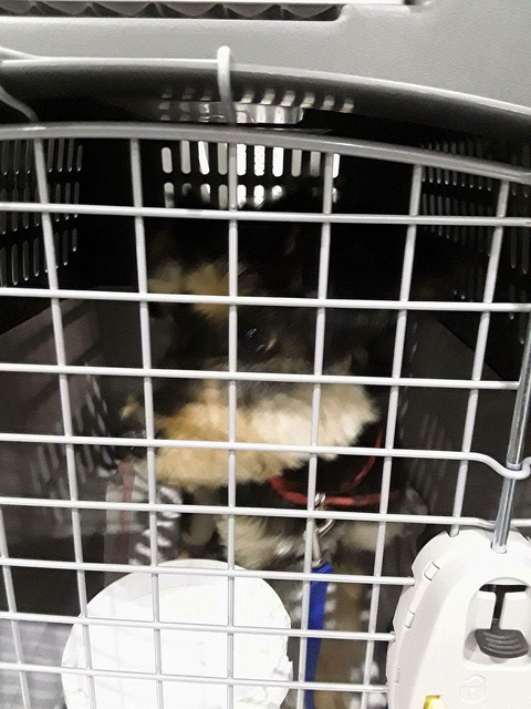 received 2002671799979928