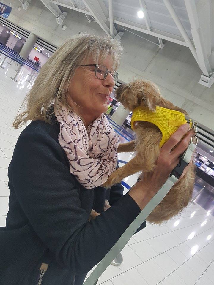 23805740 849971805164633 1915565002 n