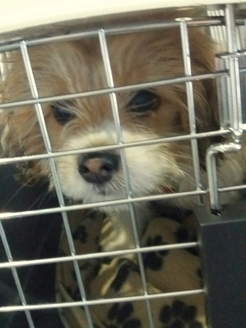 1 20170312 150559 resized