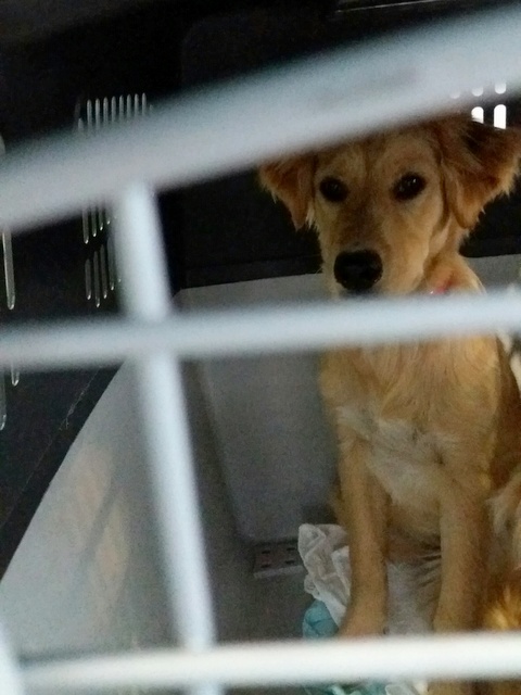 1 20170312 150651 resized