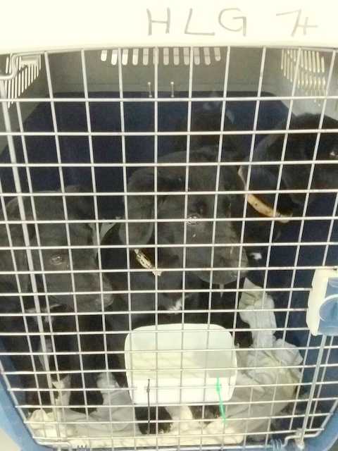 1 20170312 150700 resized