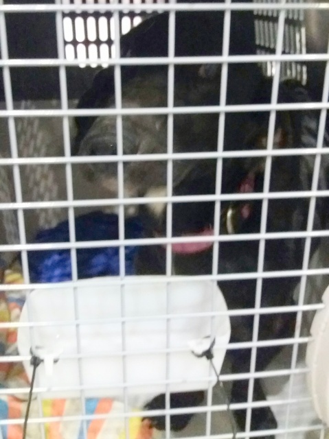 1 20170312 032843 resized