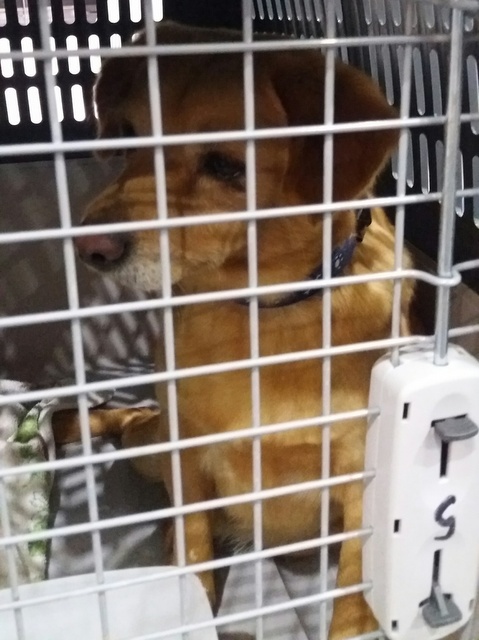 1 20170312 032854 resized