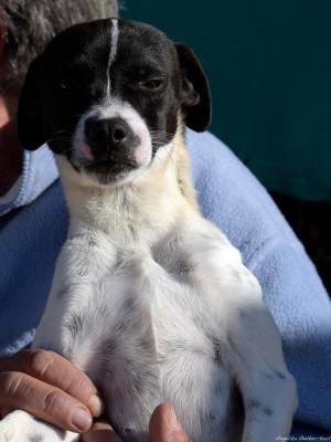 thumb Gabi DSC8043 AOK 07