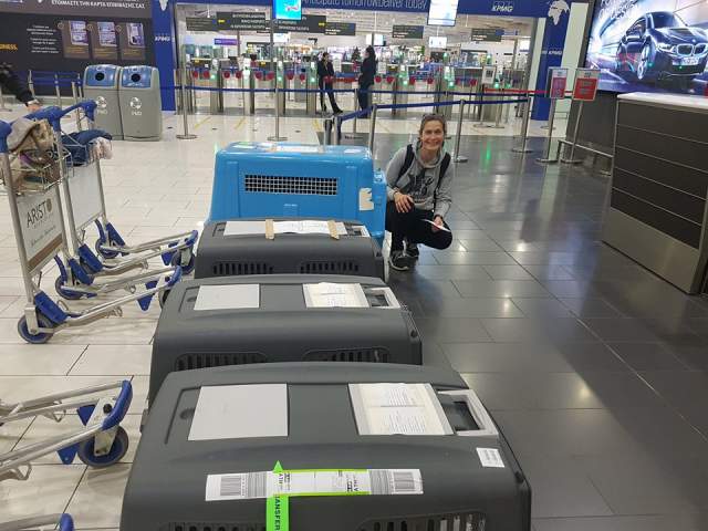 25437334 862629297232217 1497989853 n