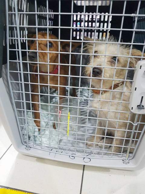 25437477 862627963899017 1425884385 n