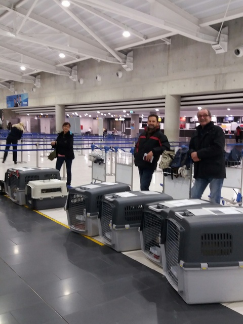 1 20170113 040333 resized