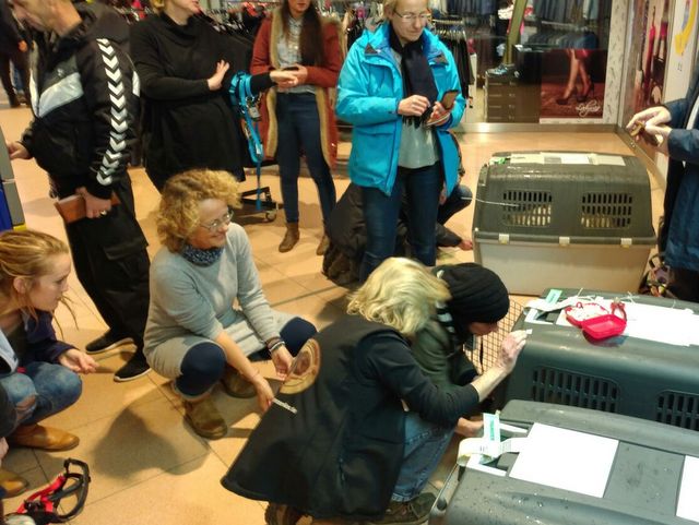 1 IMG 20170113 WA0028