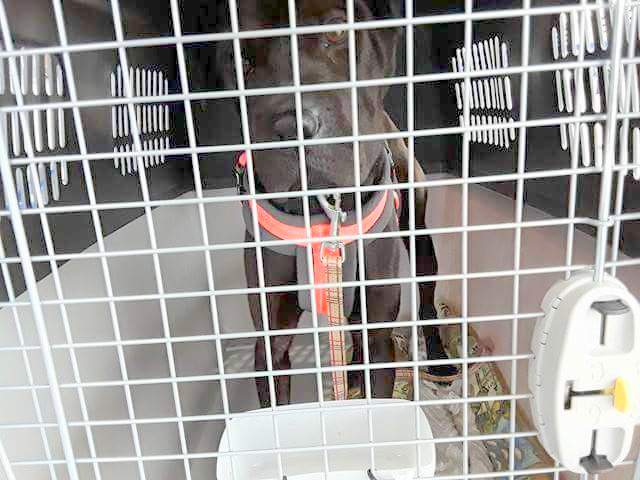 1 received 1930276377219471