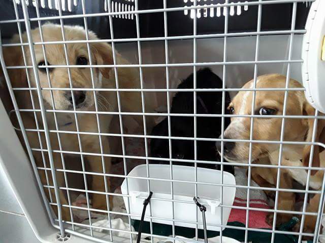 1 received 1930276677219441