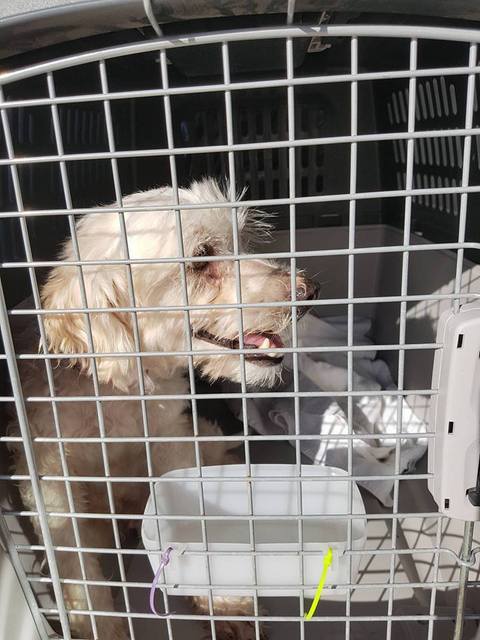 1 20885206 804174196411061 1156889536 n