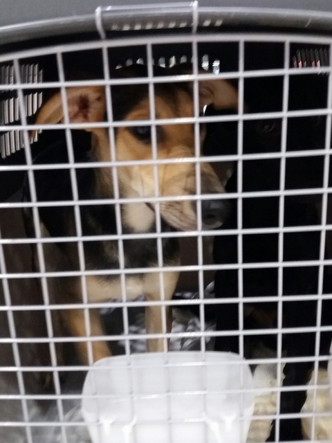 1 20170816 013922 resized