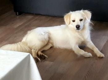 thumb 20170816 192524