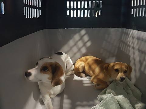 17410000 725902910904857 1899700632 n