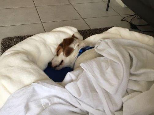 1 tony endlich zuhause