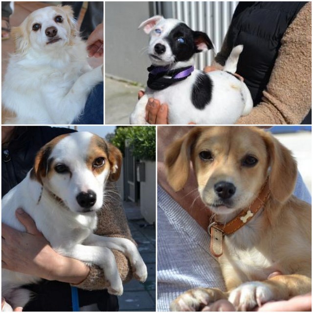 1 collage 19 03 abends