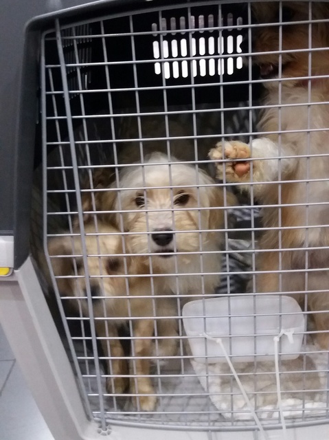 1 20170319 034922 resized