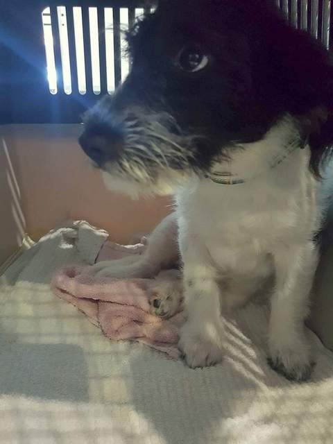 1 received 849024815259332