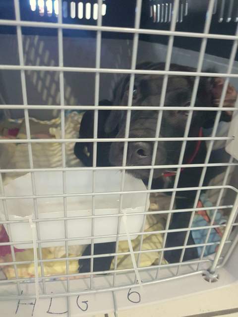 1 received 849024831925997