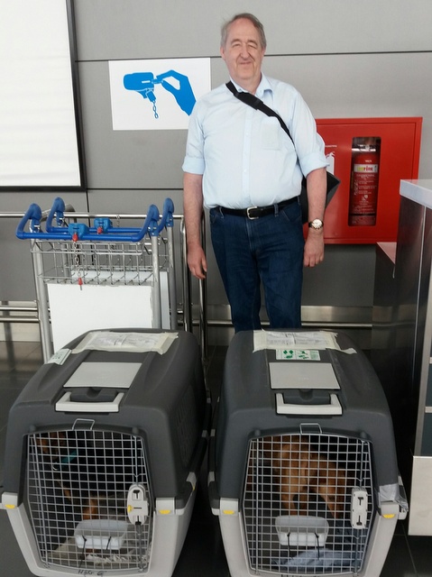 1 20170521 135934 resized