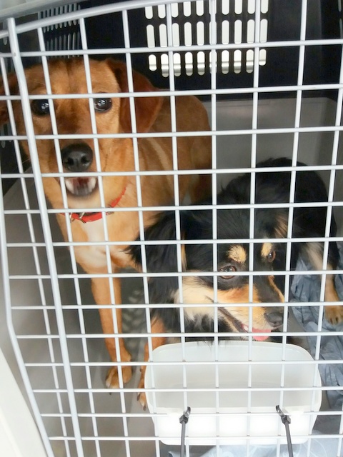 1 20170521 140012 resized