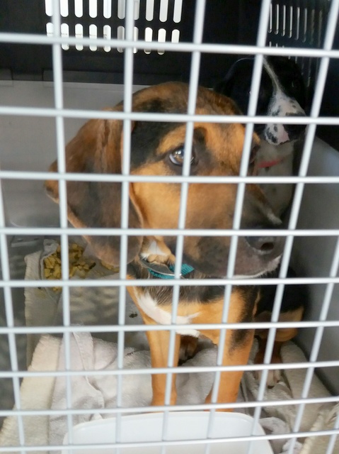 1 20170521 140034 resized