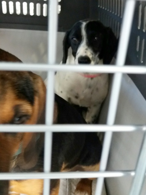 1 20170521 140038 resized