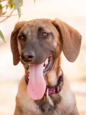 thumb Buster aktuell