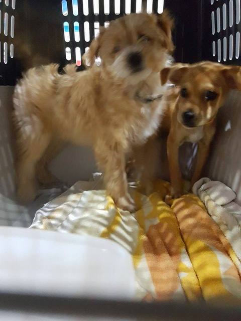 1 23972815 851970318298115 1303607909 n