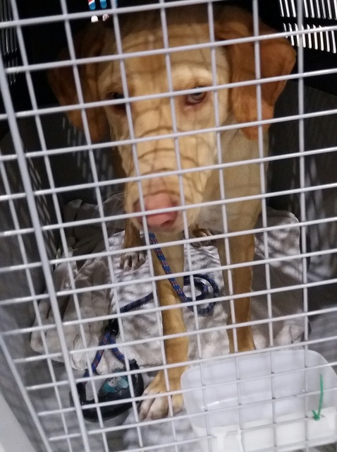 1 20170429 030844 resized