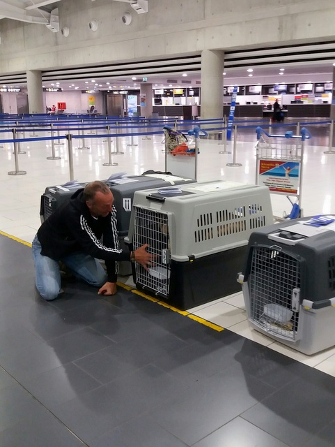 1 20170429 031401 resized