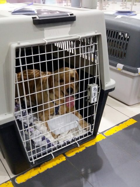 1 20170429 031444 resized