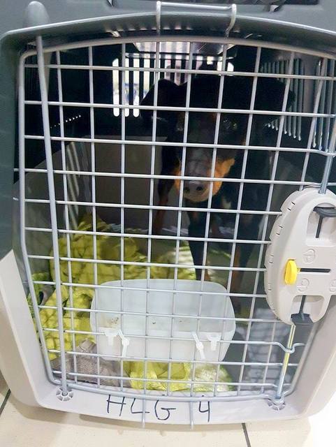 1 24992432 858752357619911 2071150142 n