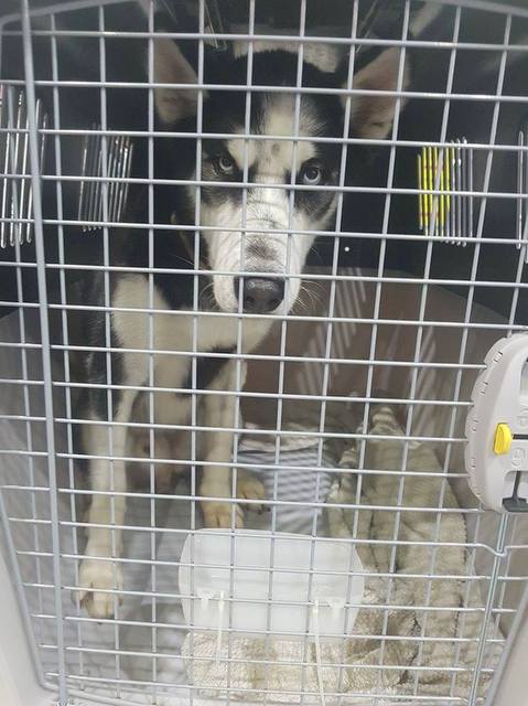 1 25105737 858751240953356 1177029181 n