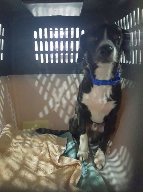 1 25114739 858784147616732 955110932 n