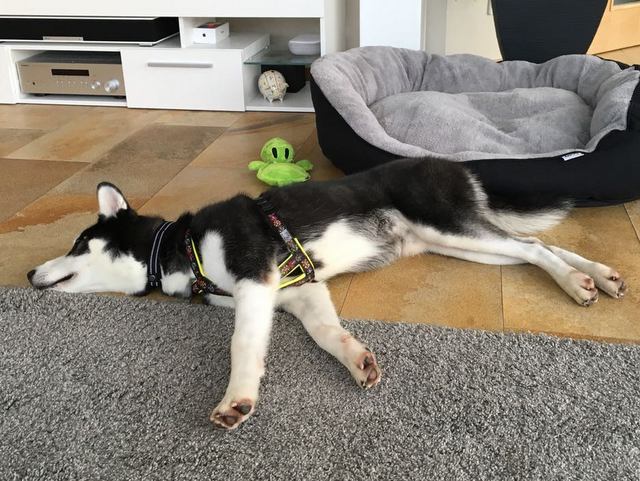 1 IMG 20171209 WA0008