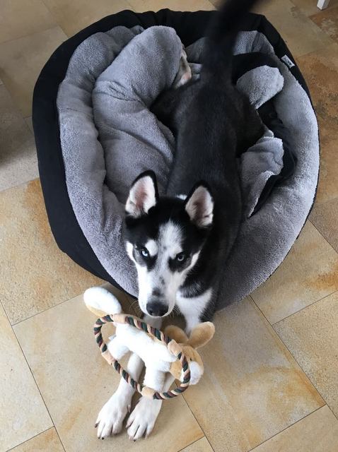 1 IMG 20171209 WA0009