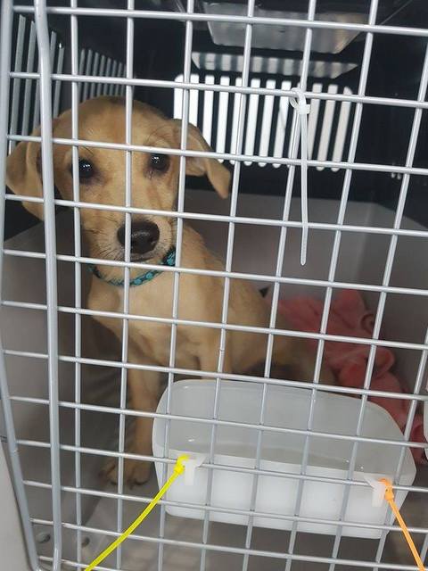 1 20814940 803287026499778 1717658638 n