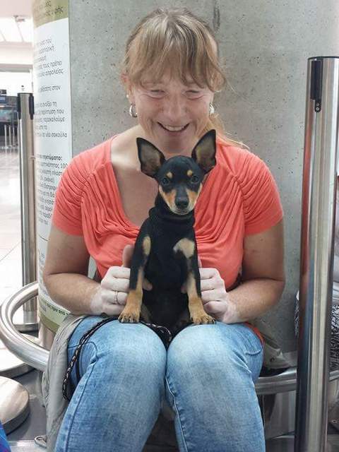 1 FB IMG 1502773407132