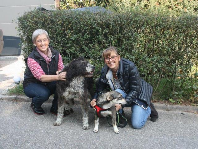 1 Endlich am Ziel Alfie und Pusha in Handweitt